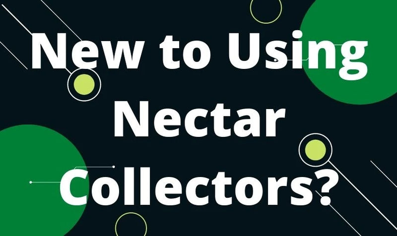 How To Use A Nectar Collector In 7 Simple Steps + Bonus Review