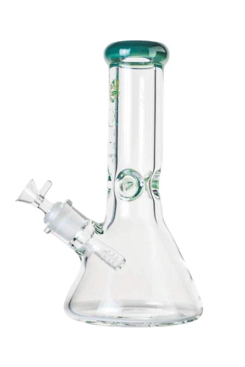 The Kind Glass - 9mm Beaker Water Bong 10 Inches